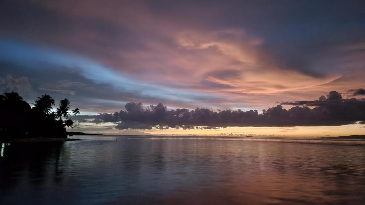 Terimakasih Homestay Pulau Mansuar Екстериор снимка